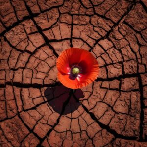 cracked earth